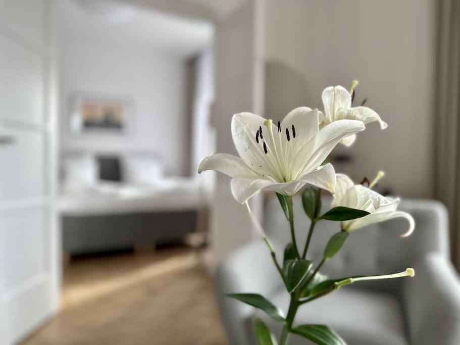 Premium By Hi - 2 Bedroom - View Apartment Budapest